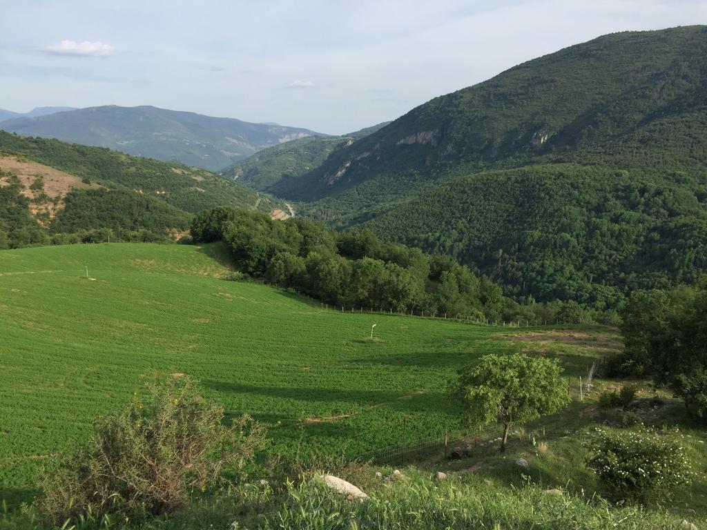La Fusteria Del Casat Apartment Sarroca de Bellera ภายนอก รูปภาพ