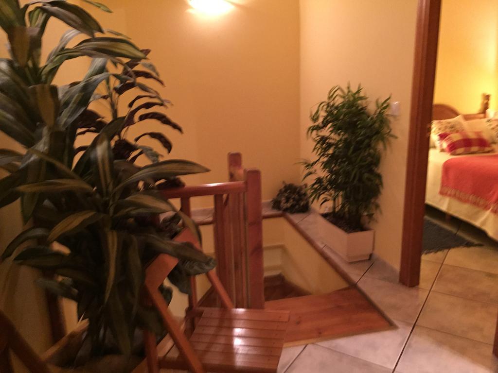La Fusteria Del Casat Apartment Sarroca de Bellera ภายนอก รูปภาพ